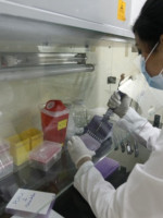 En Argentina crean la primer "Vacuna Terapéutica" contra el cáncer de pulmón