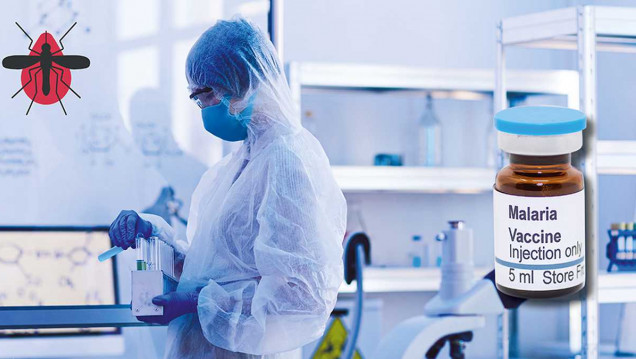 imagen Dos vacunas podrían terminar con la malaria en el mundo