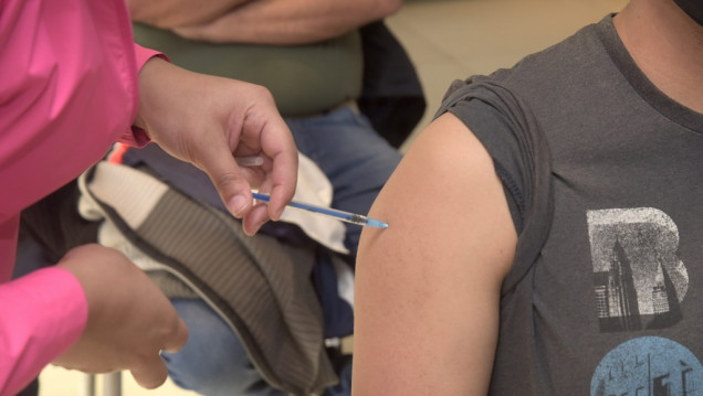 imagen La OMS avisó que la vacuna contra el coronavirus tardará un año y medio