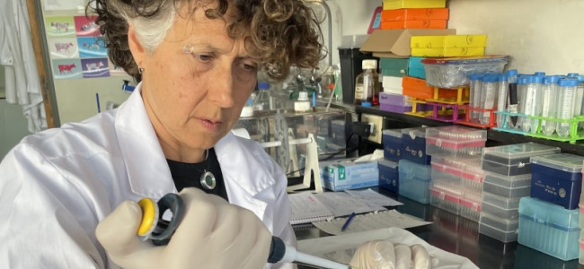 Científicos y científicas de Argentina avanzan en la formulación de vacunas de nueva generación