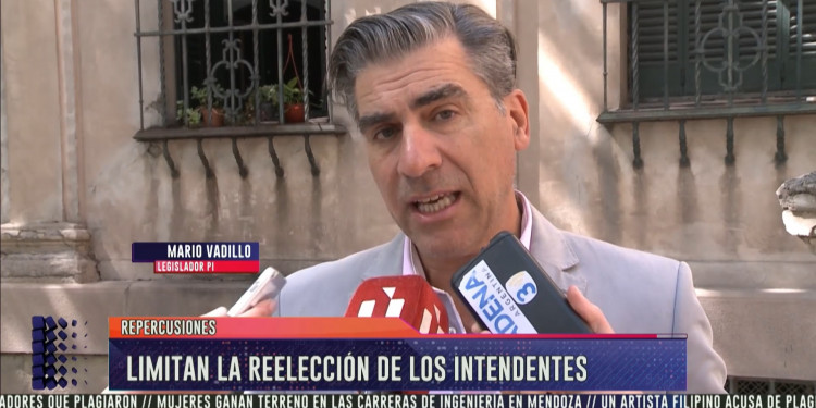 Vadillo y el freno a la reelección de intendentes: "Es algo que todos pedíamos"