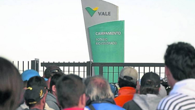 imagen Aseguran potasio aun sin Vale