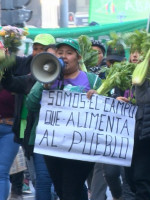 Para visibilizar la crisis del campo mendocino, se realizó un nuevo "verdurazo" en Casa de Gobierno