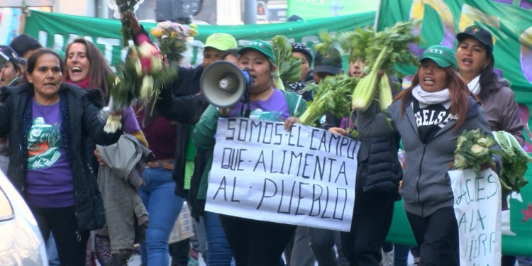 Para visibilizar la crisis del campo mendocino, se realizó un nuevo "verdurazo" en Casa de Gobierno