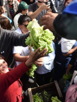 Nuevo "verdurazo" en Plaza de Mayo contra el alto precio de góndola