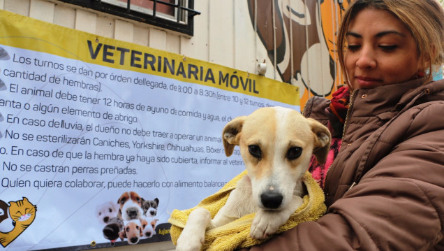 imagen La Veterinaria Móvil de Luján de Cuyo continúa recorriendo el departamento