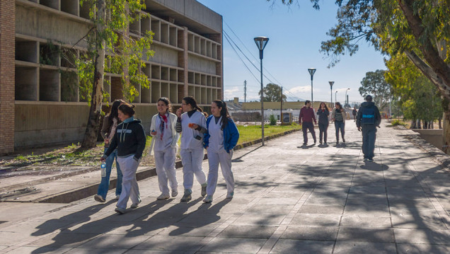 imagen Para mejorar, hay que escuchar: la UNCUYO consulta a sus egresados 