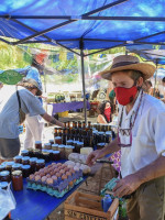 Analizan las ferias ecológicas como una alternativa frente a la crisis agroalimentaria