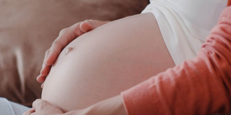 Subrogación de vientre: "Lo más importante es preservar la salud de la gestante"