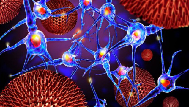 imagen La nueva "niña milagro" que, aún sin medicación, no muestra rastro del VIH