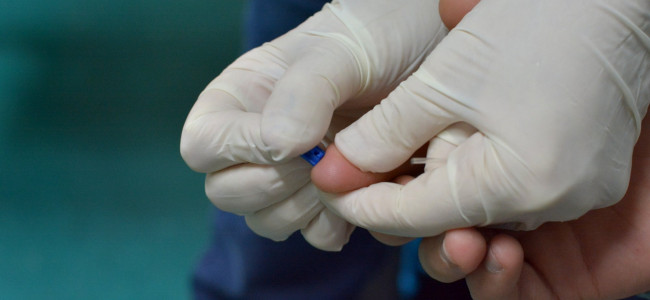 Comienzan los testeos de VIH y sífilis en la UNCUYO 