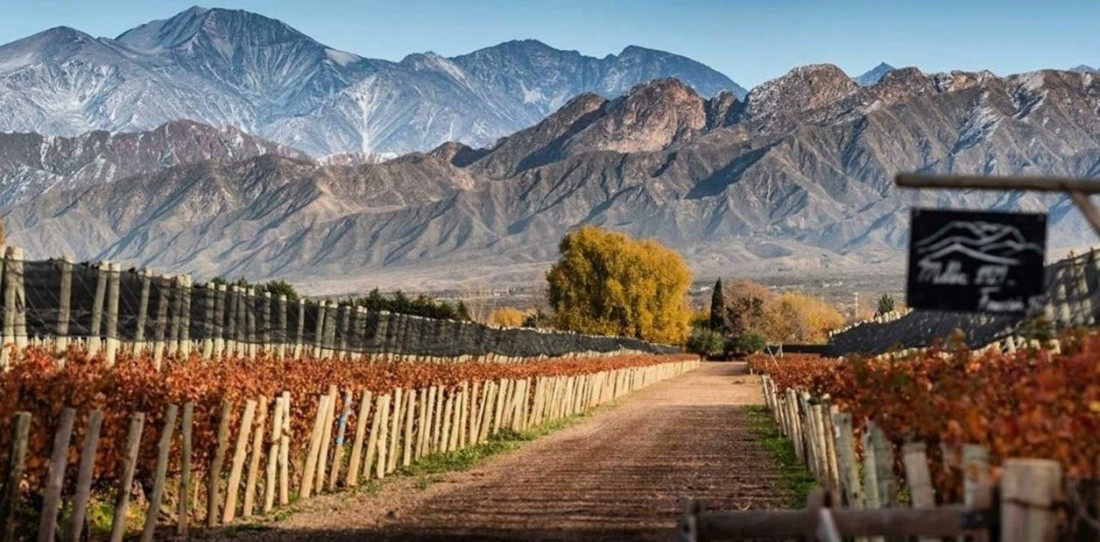 Aportes patronales: "Será un antes y un después para el agro mendocino"