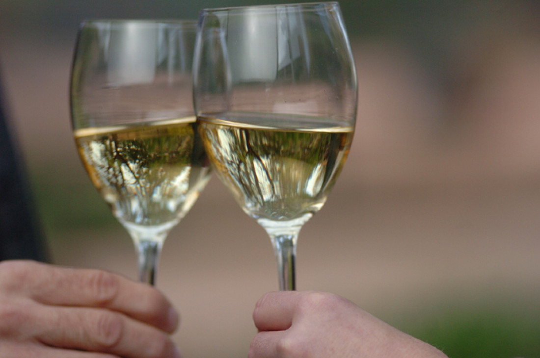 Comenzó el rodaje del nuevo comercial de "Vino argentino"