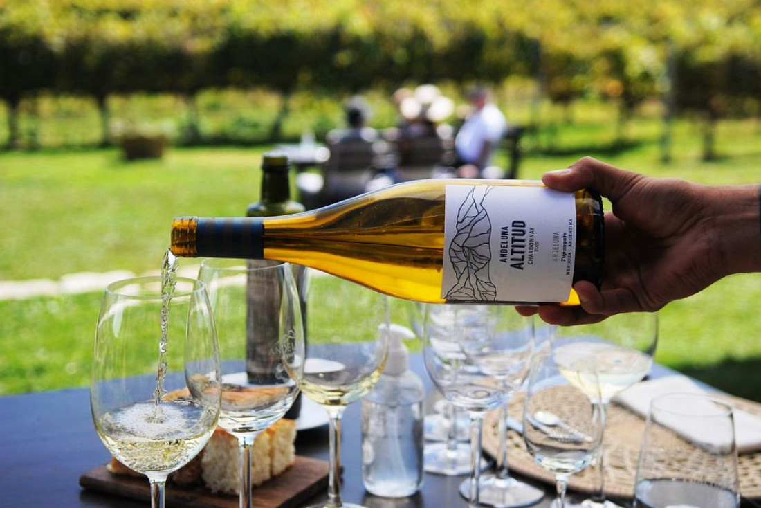 Chardonnay, el varietal blanco más exportado de Argentina, tiene su base en Mendoza 