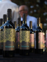 La Maestría en Viticultura y Enología de la UNCUYO logró la "Categoría A" por su perfil académico 