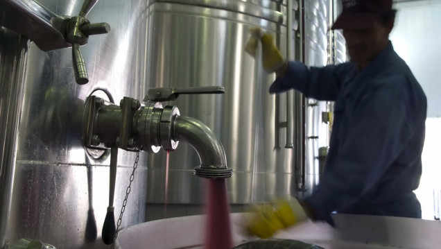 imagen ¿Por qué sobran 200 millones de litros de vino?