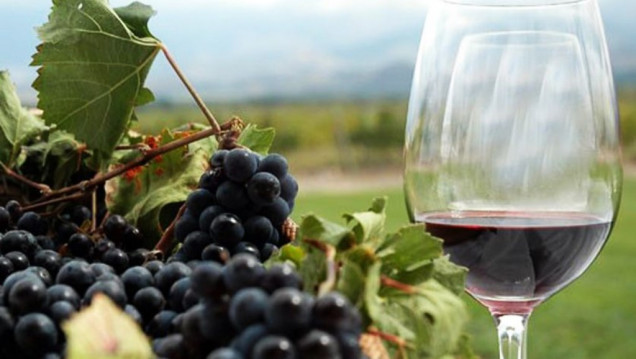 imagen Malestar en Tucumán porque eligieron vino mendocino