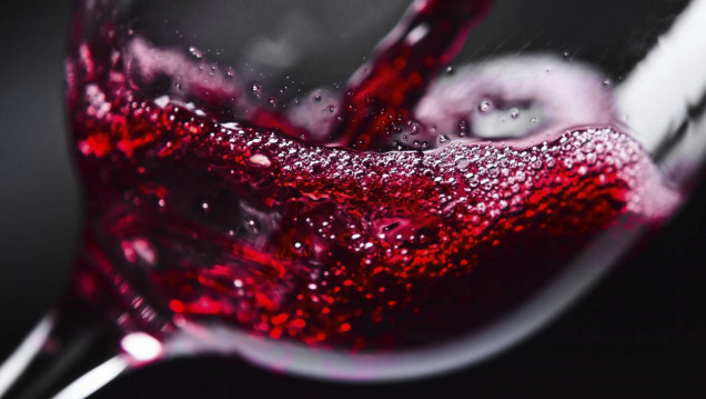 imagen Al pan, pan, y al vino, ciencia