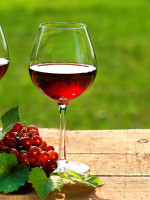 Con Gabriela Malizia hablamos de vinos
