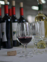 Buscan gravar la importación de vinos chilenos