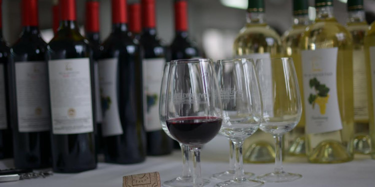 Buscan gravar la importación de vinos chilenos