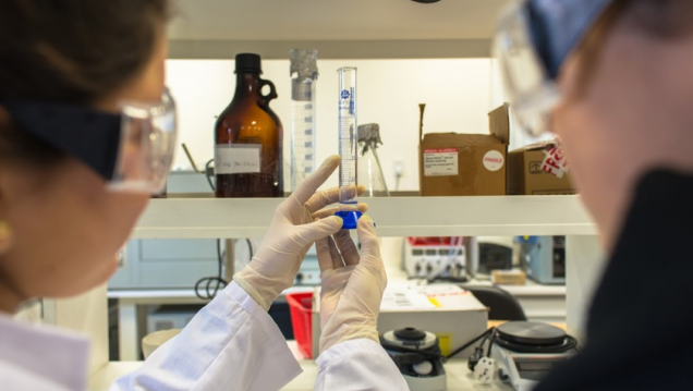 imagen Lo dice la ciencia: somos lo que hablamos