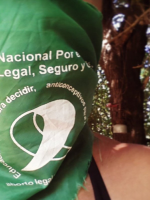 Reclamaron protocolos de atención para casos de abortos legales