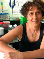 La viróloga Andrea Gamarnik fue reconocida como "Investigadora de la Nación Argentina 2022"