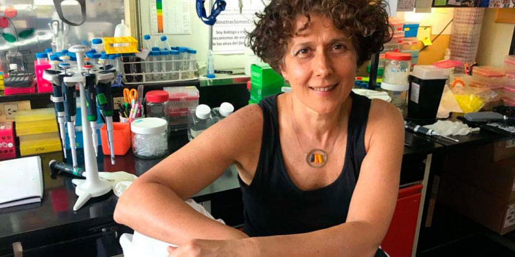 La viróloga Andrea Gamarnik fue reconocida como "Investigadora de la Nación Argentina 2022"