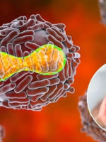 El Ministerio de Salud confirmó el sexto caso de viruela del mono en la Argentina