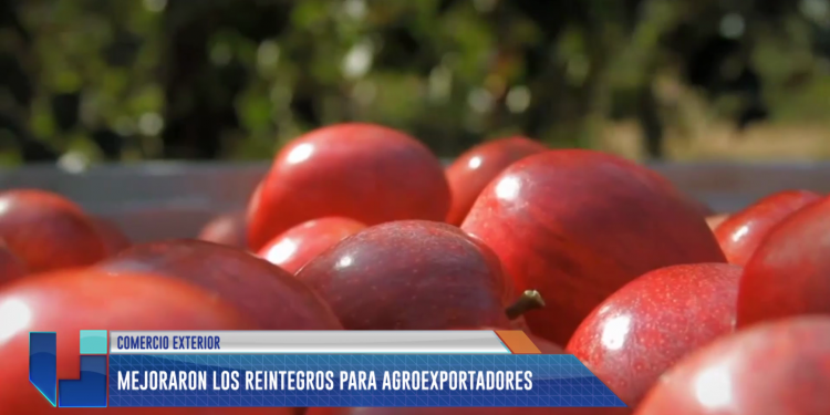 Mejoraron los reintegros para agroexportadores