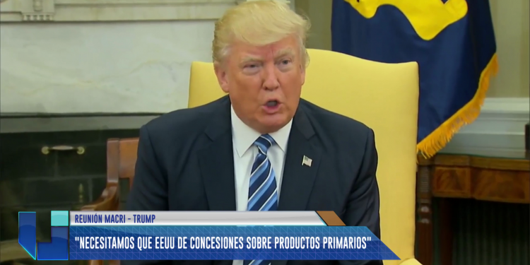 Piden que Trump importe aceitunas y aceite de oliva mendocinos