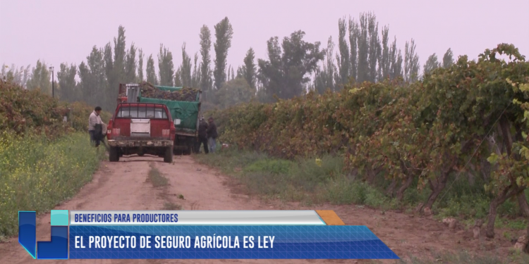 Ya es ley el proyecto de seguro agrícola 