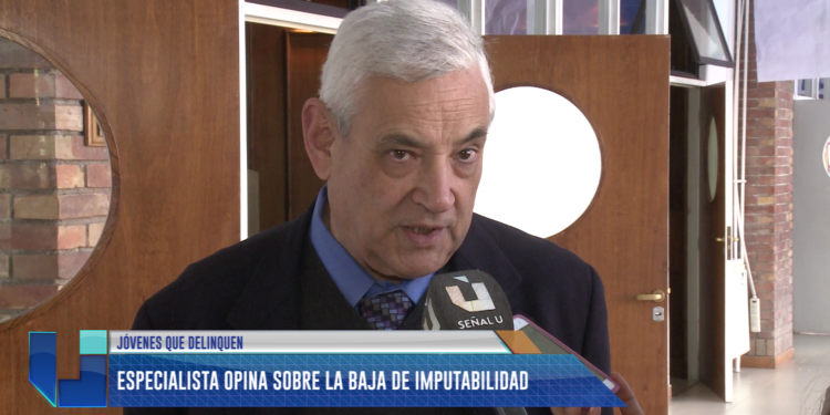 Zuleta Puceiro: "Soy un partidario de la baja de imputabilidad"