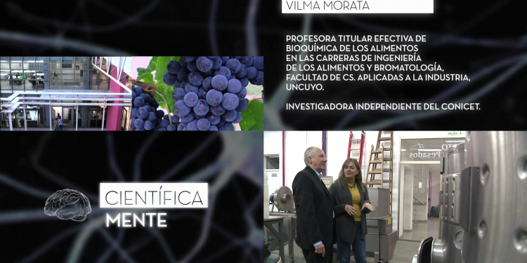 Científicamente | Programa 12 | Factores que alteran el proceso de fermentación en el vino
