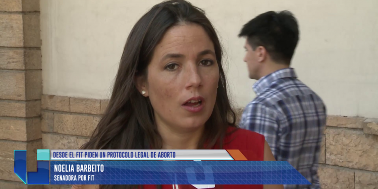 Piden que Mendoza adhiera al protocolo legal del aborto