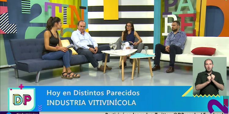 Distintos Parecidos | Temporada 3 | Programa 011: Industrias Vitivinicola