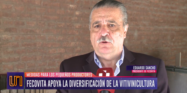 Fecovita apoya el cupo acordado para diversificar la producción de uva