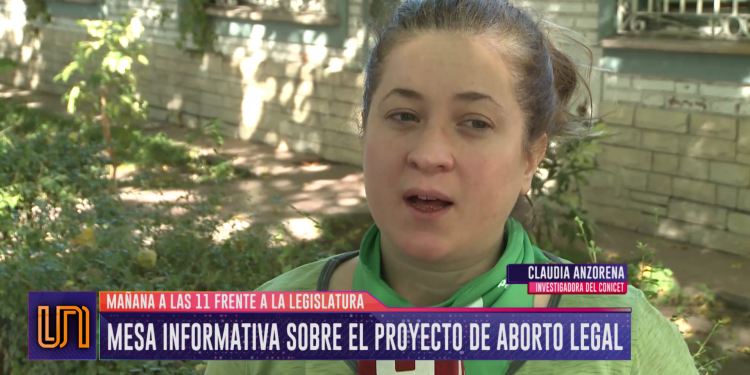Aborto legal: darán detalles del proyecto en la puerta de la Legislatura