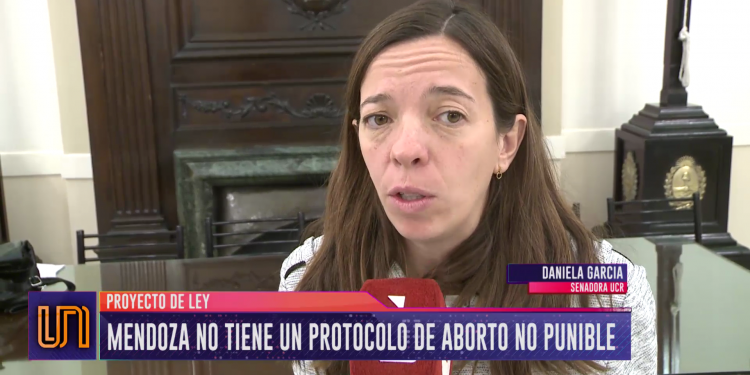 Avanza en el Senado el protocolo de aborto no punible para Mendoza