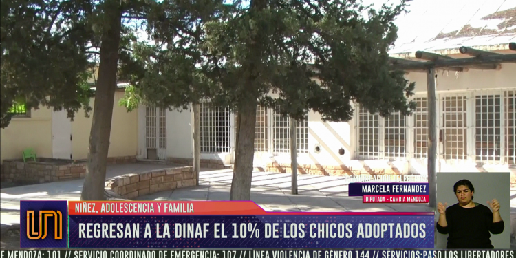 El 10 % de los chicos adoptados regresan a la DINAF