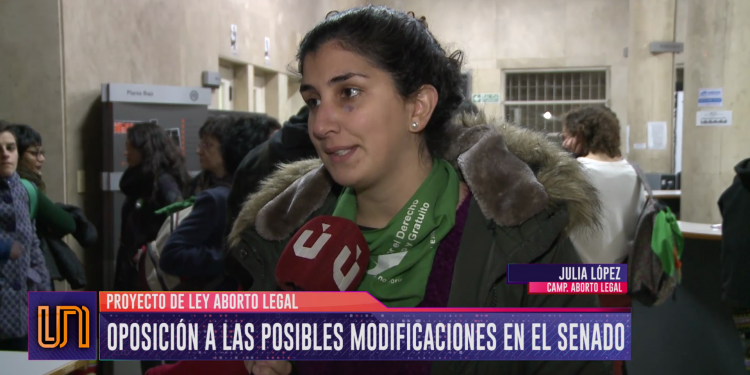 Aborto legal: oposición a posibles cambios en el Senado