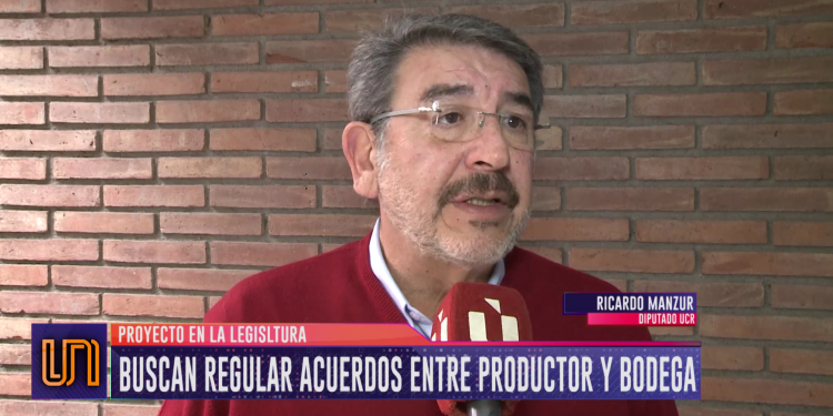 Buscan regular los acuerdos entre bodegas y productores