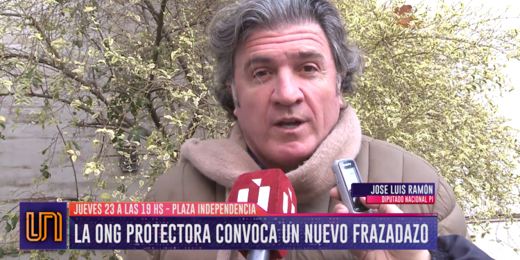 La ONG Protectora convoca a un nuevo "frazadazo"