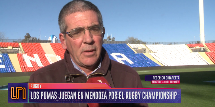Rugby Championship: en Mendoza, Los Pumas buscan vengarse de los Springboks