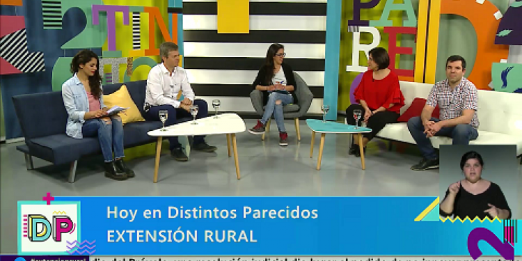 Distintos Parecidos | Temporada 3 | Programa 136: Extensión Rural