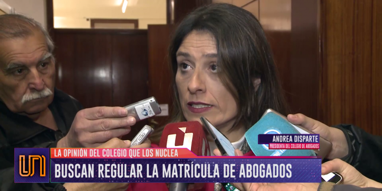 Aval a la regulación de la matricula para abogados