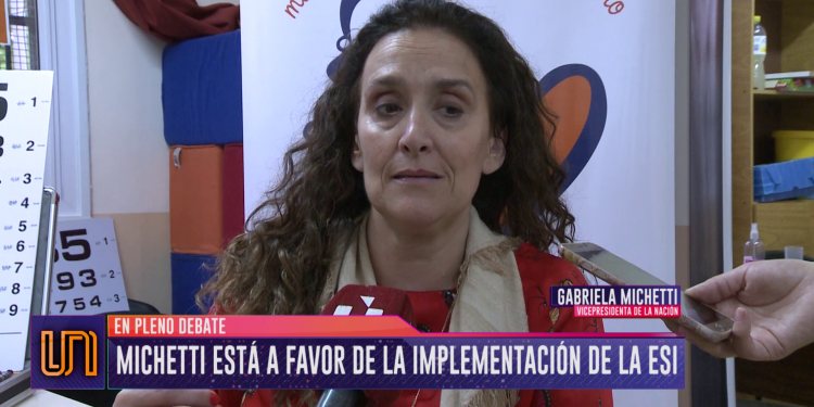 Michetti y sus condiciones sobre la implementación de la ESI