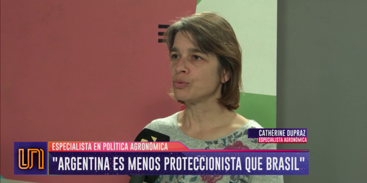 ¿Por qué Argentina es menos proteccionista que Brasil?