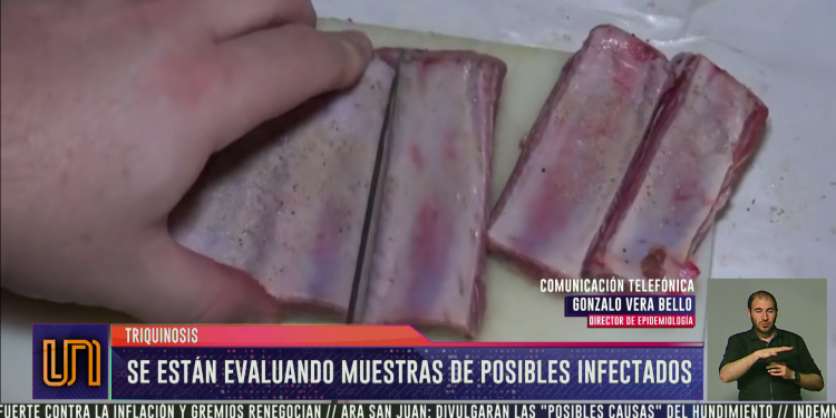 Triquinosis: evalúan muestras de posibles infectados